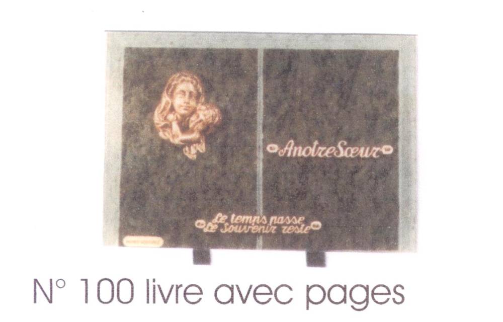 livre avec pages