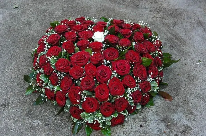 Les fleurs